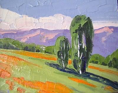 California Eucalyptus and Poppies