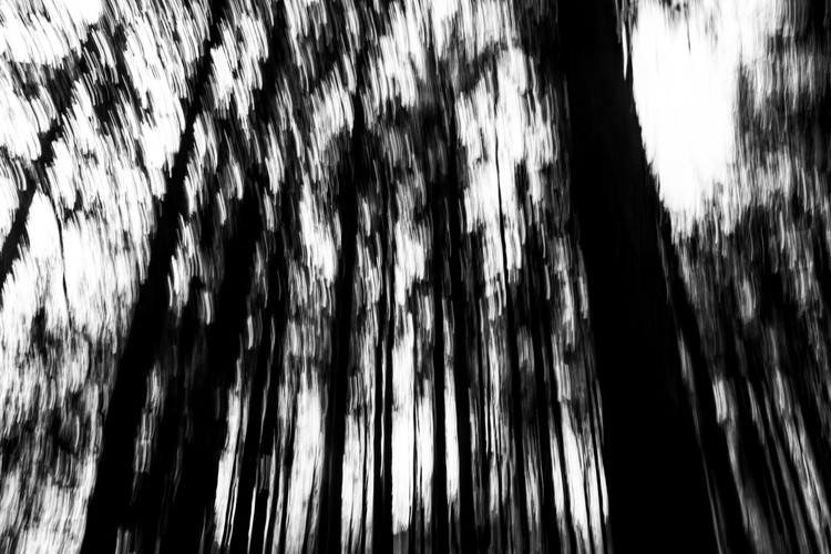IMG 20190423 222619 404