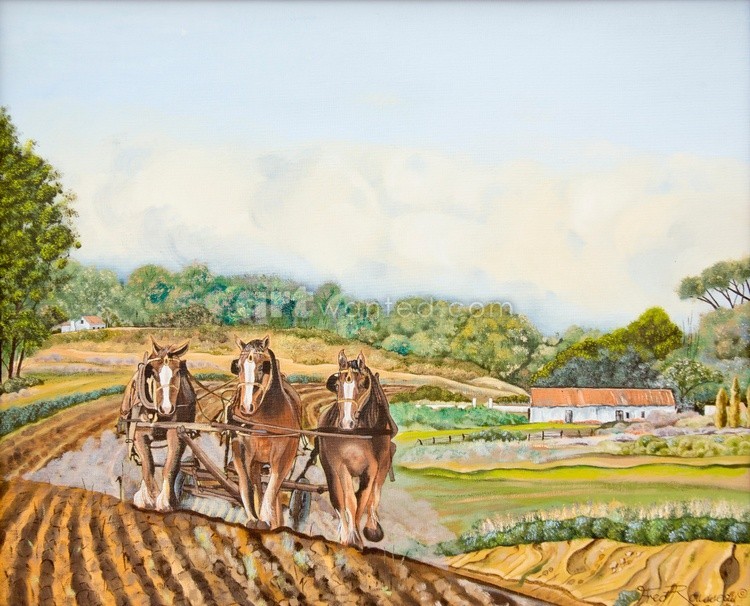 Ploughing with Horses
