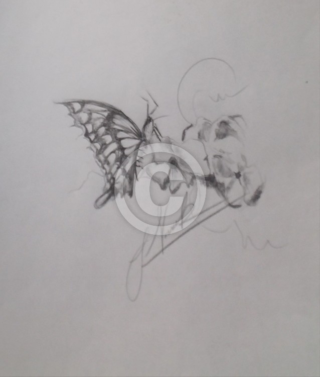 Butterfly garden
