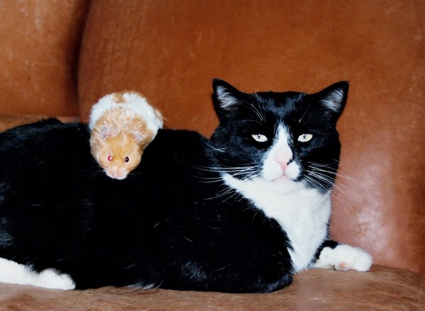 Otis and Hank
