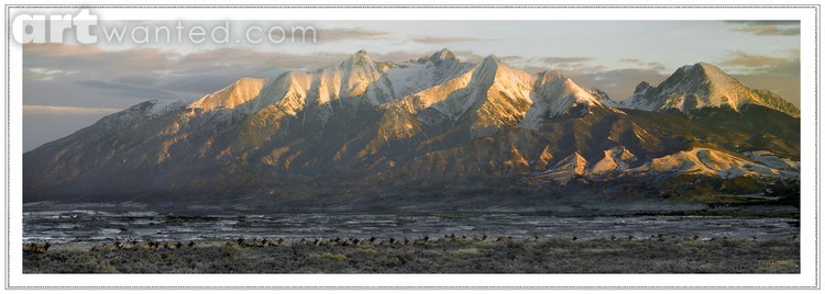 Running of the Elk