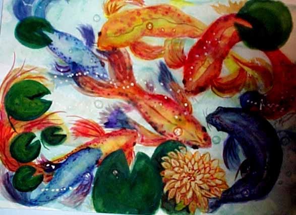 Koi Joy