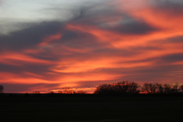 Sunset Sky