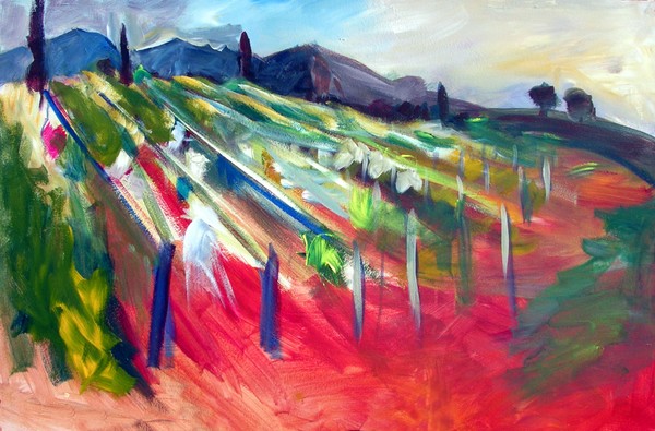 santa barbera vineyard