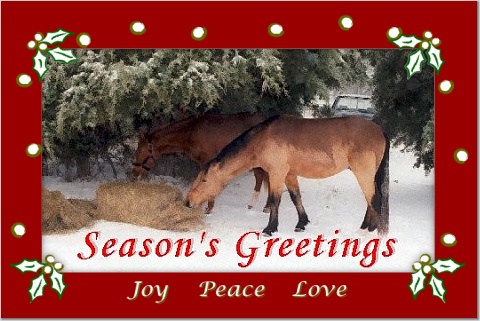 Season's Greetings