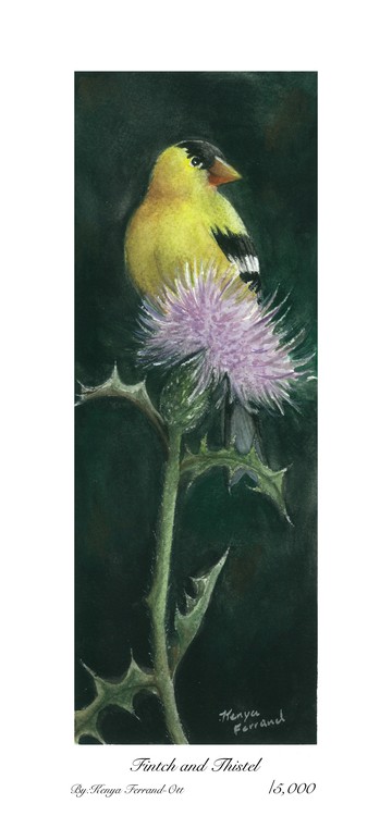 Finch and Thistle