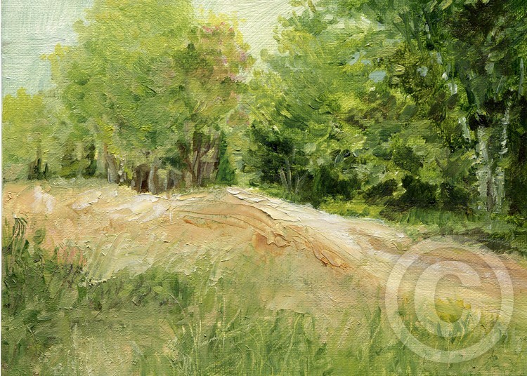 Dirt Road into the Trees
