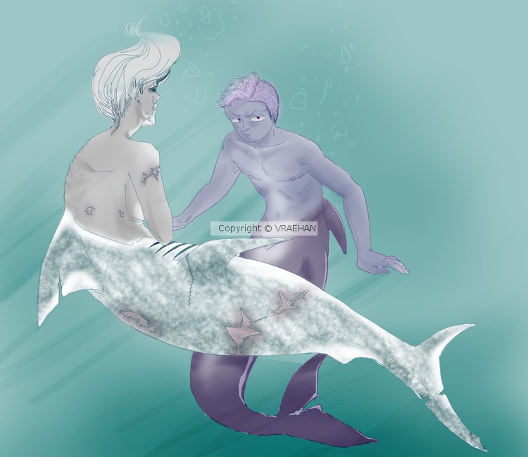 shark & dolphin