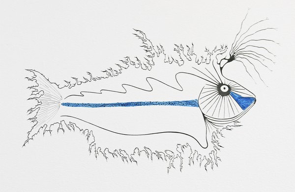 sargasso