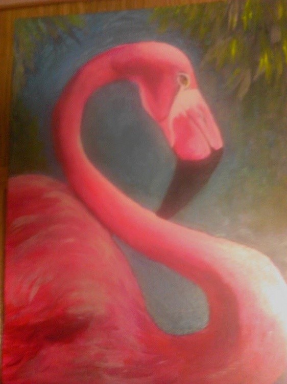 flamingo 