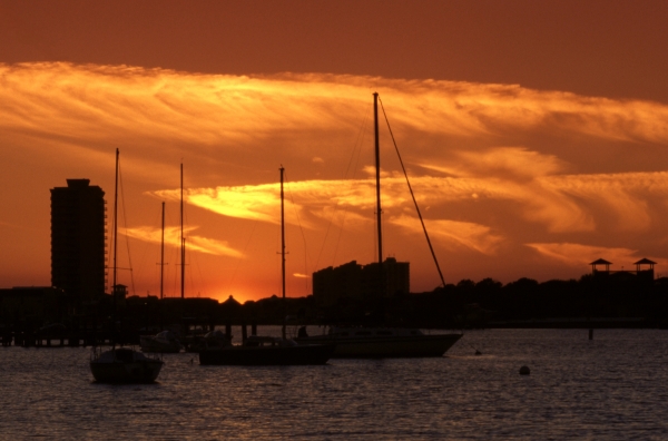 The Harbor
