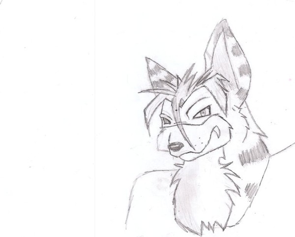 Wolf guy
