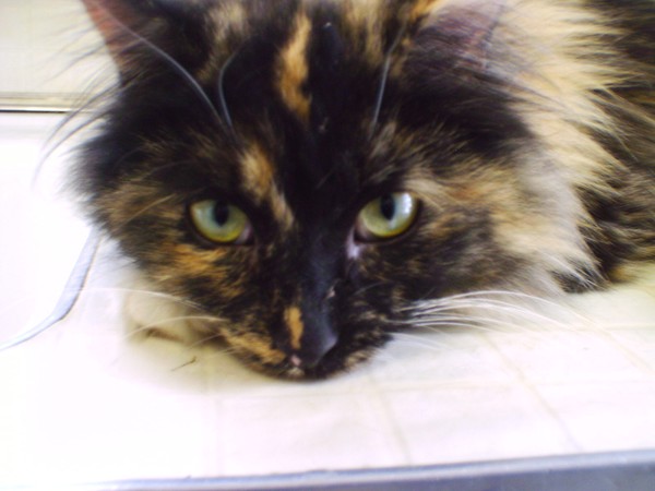 Sabrina