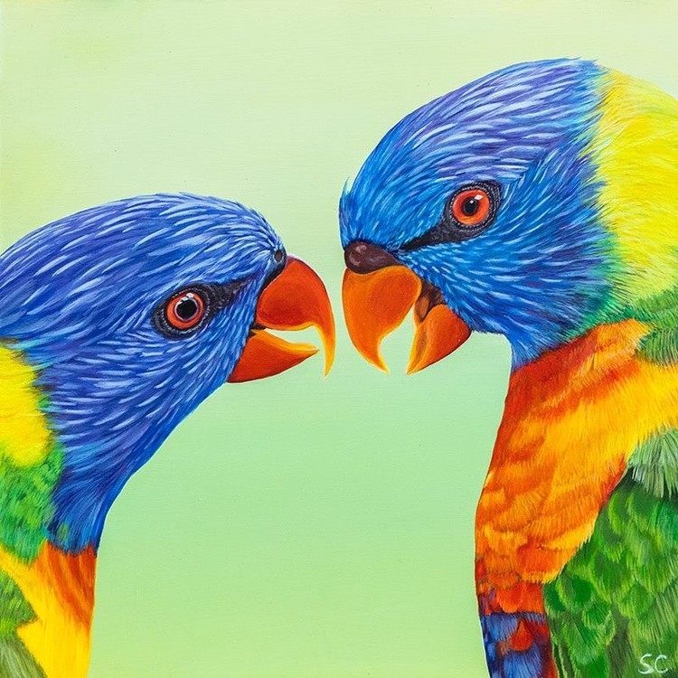 Rainbow lorikeets