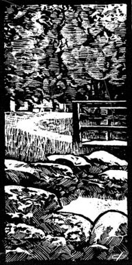 Babbling Brook (woodcut print)