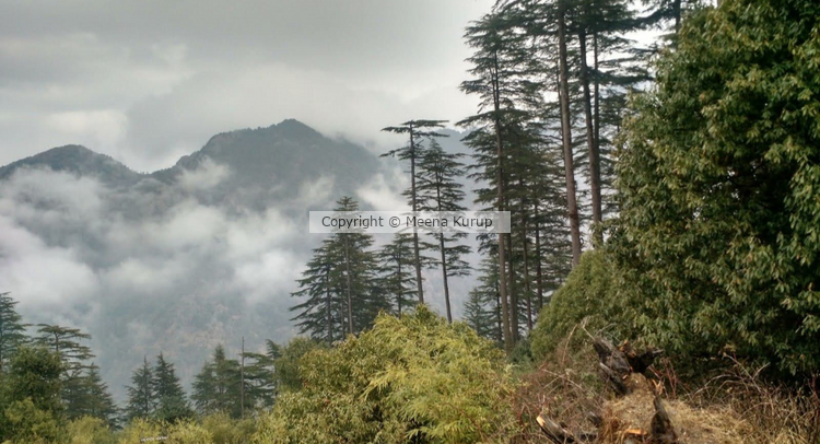 Himalayan range from Dhanaulti 