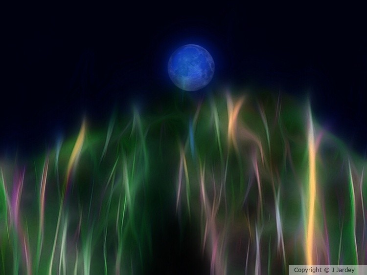 Blue moon in a corn field