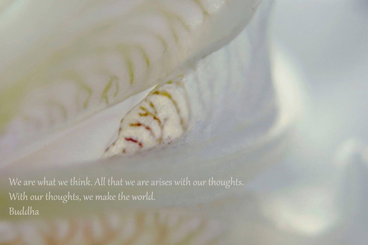 Translucent Flowerscape Ten