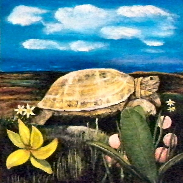 TORTOISE