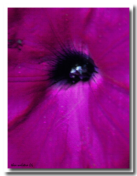 Flower impressions