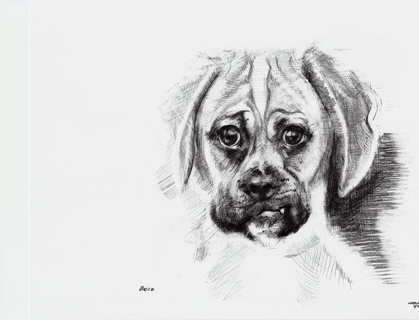 Rocco