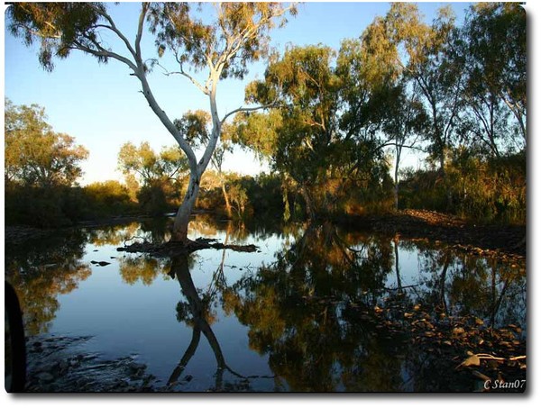 Outback Billabong