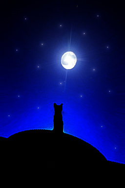 Moon spirit