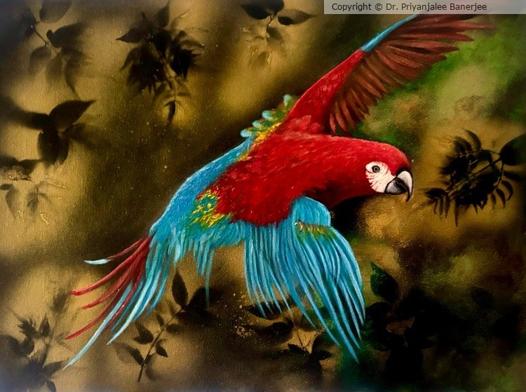 Scarlet Splendour