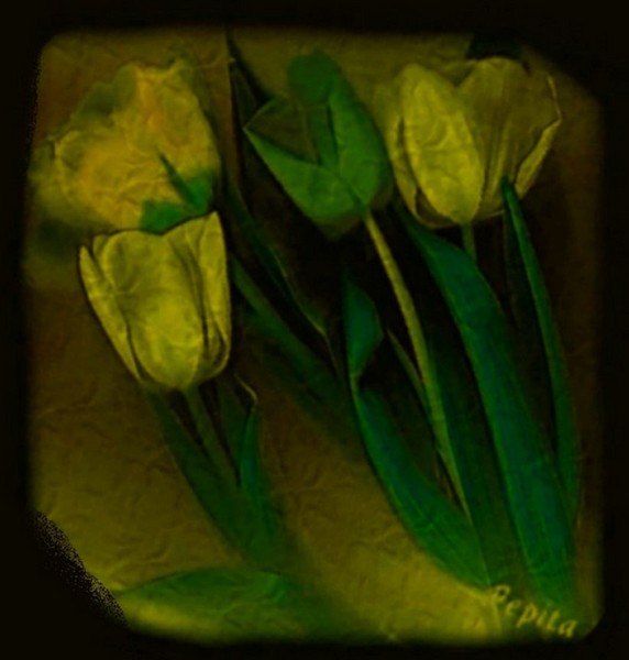 TULIPS