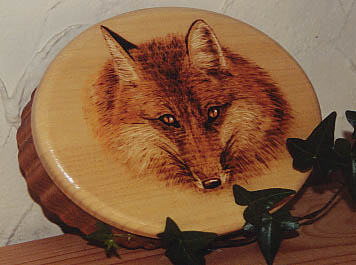 Fox - Pyrography