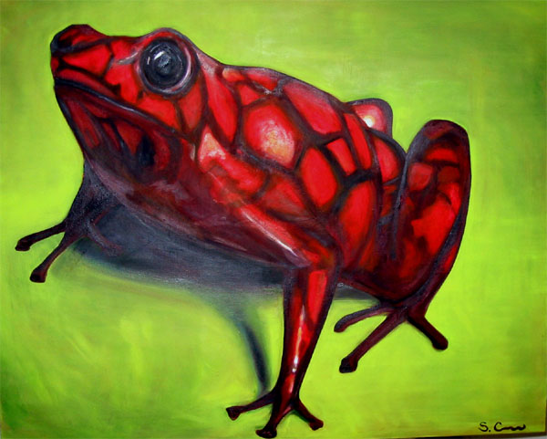 Red Tree Frog