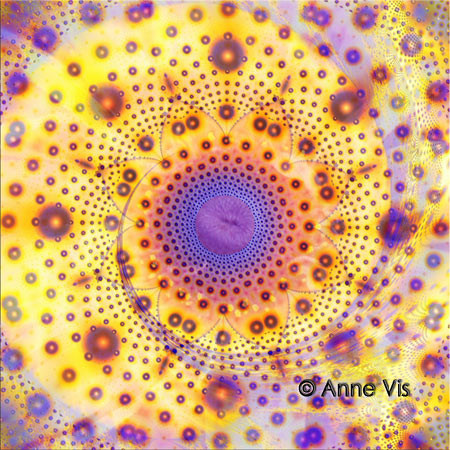 Joy in Creation