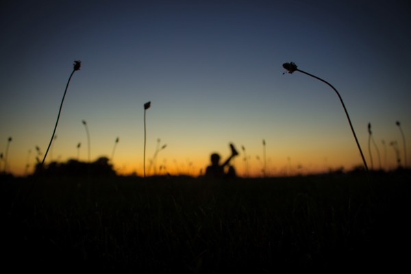 Sunset Pixie (5)