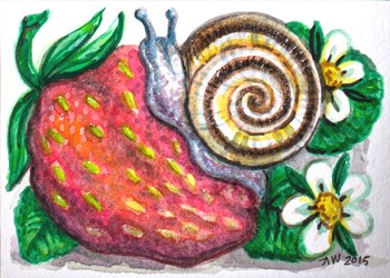 Strawberry Snail