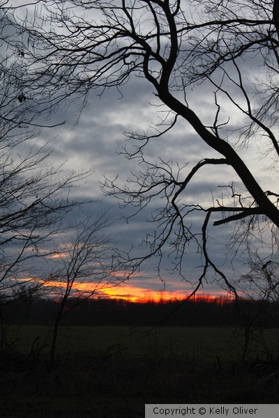 Fire SunSet