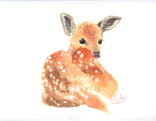 Deer Watercolor Print
