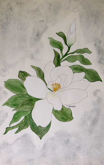 Magnolia