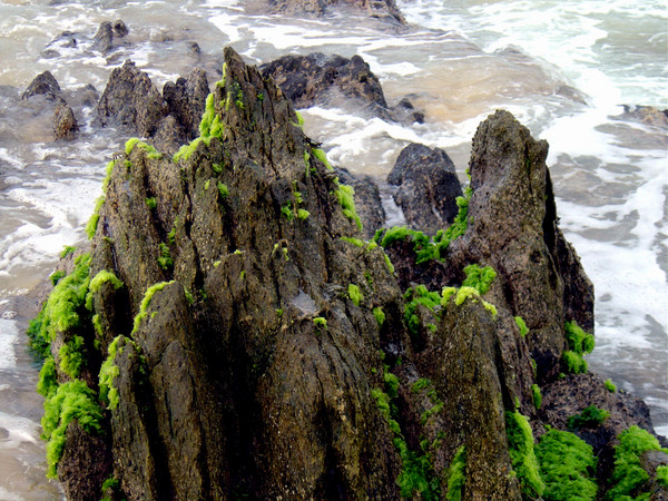 Skull Island