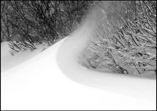 Cold Wave