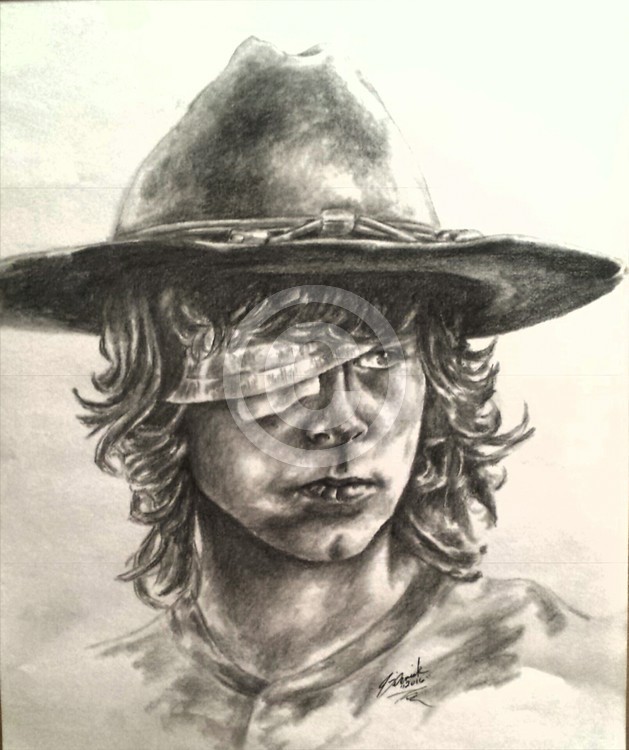 walking dead carl 2