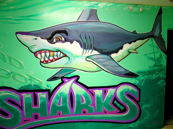 indoor shark cove