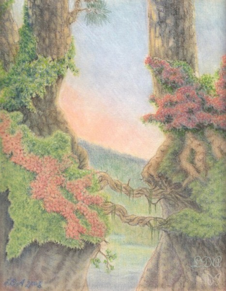 The Forest