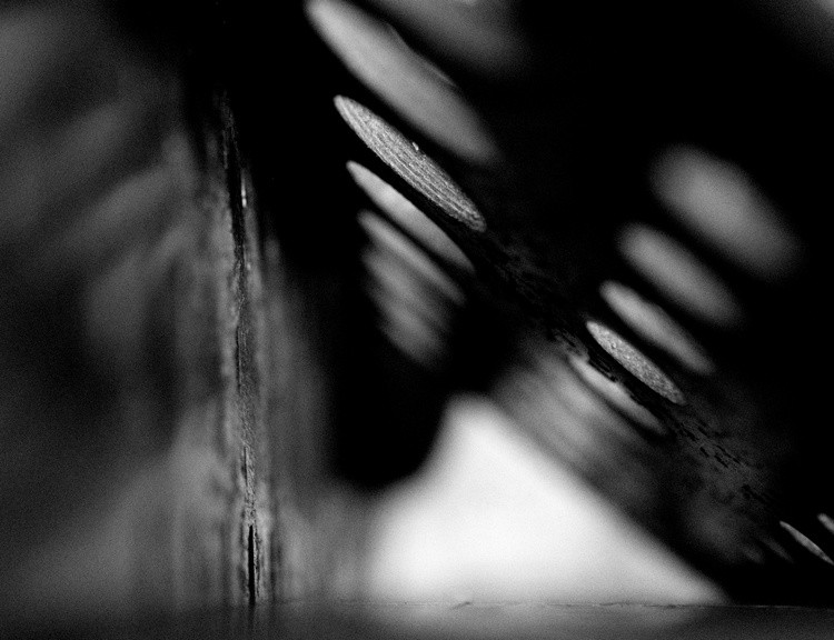 Cavity