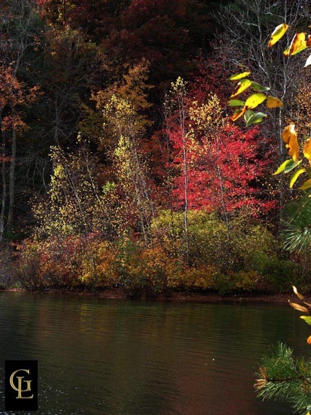 Walden Pond