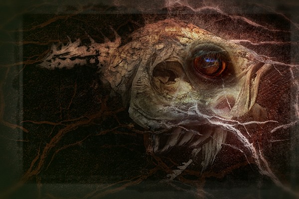 From The Deep