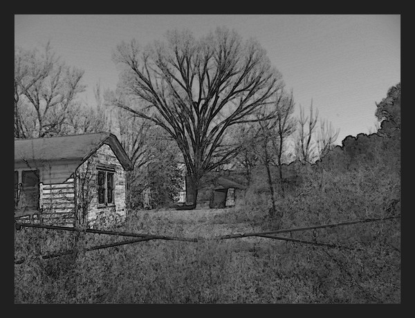 Deserted Series....Tree