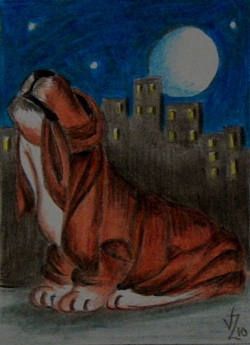 Basset hound howling