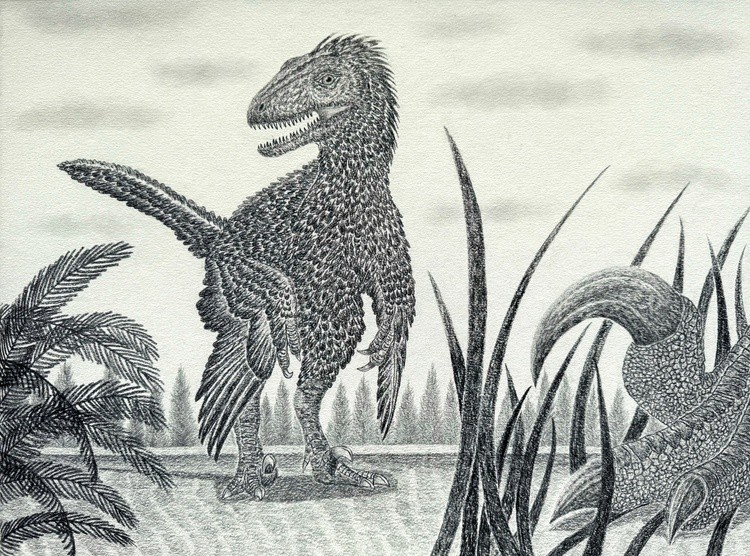 Velociraptors on a Late Cretaceous Hunt