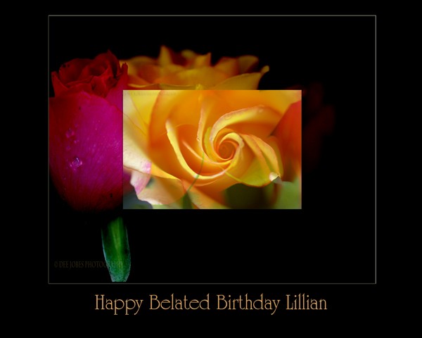 Happy Belated Birthday Lillian